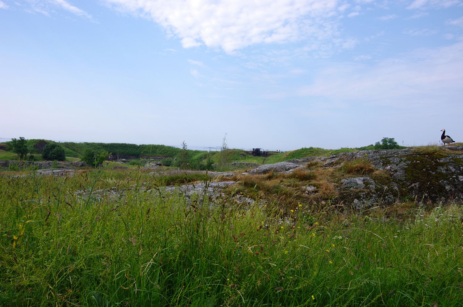 b0212342_14164486.jpg