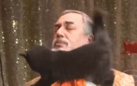 f0307146_1825771.gif
