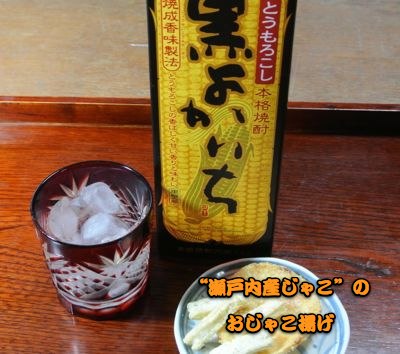 Do!ブロク 手抜き法2_c0063348_2243386.jpg