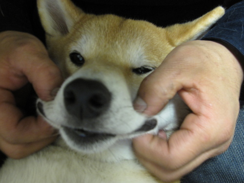 f0245650_1148832.jpg