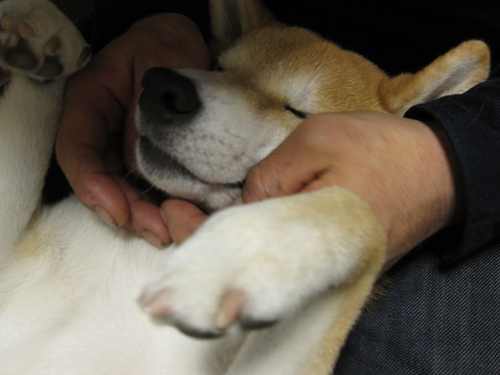 f0245650_11501272.jpg