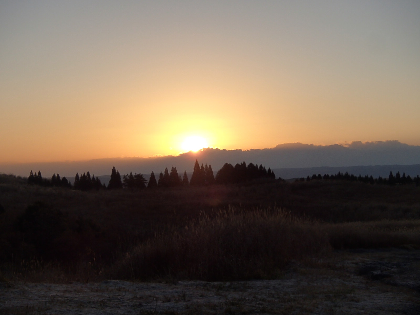 b0276758_17574052.jpg