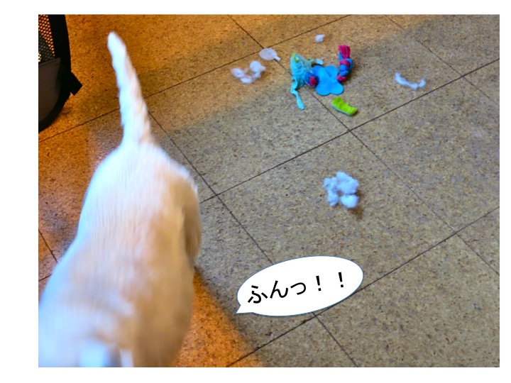 必殺仕置き人(犬?)_c0260460_8293442.jpg