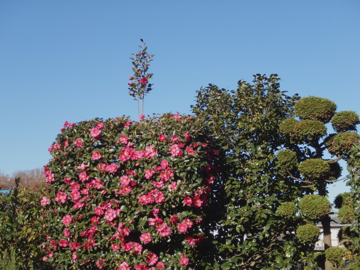 f0208666_2114920.jpg