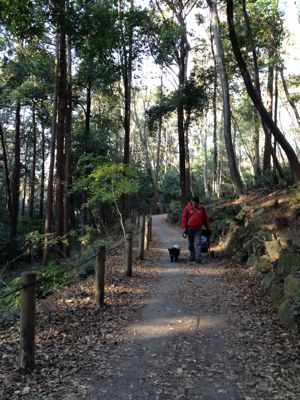 walk in the park 座間•谷戸山公園_e0217871_21244365.jpg