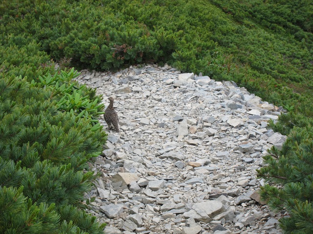 【 鹿島槍その４　鹿島槍山頂から～下山します☆ 】_f0202271_0131418.jpg