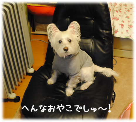 b0242873_1572073.png