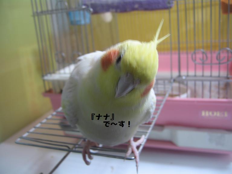 e0027078_20403773.jpg