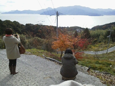 f0213778_1733294.jpg
