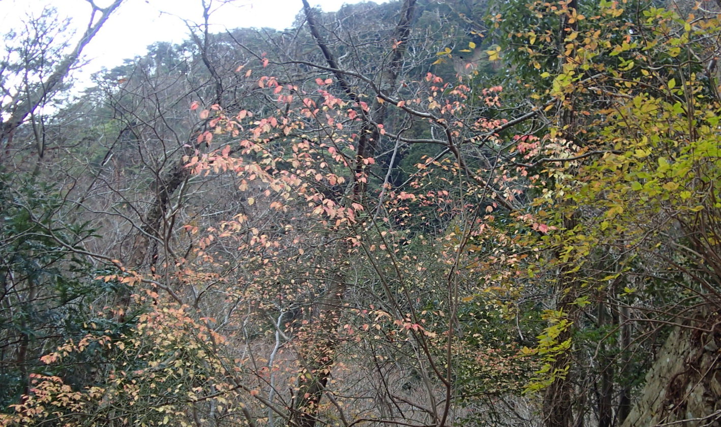e0024081_17555130.jpg