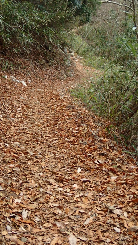 e0024081_17564769.jpg