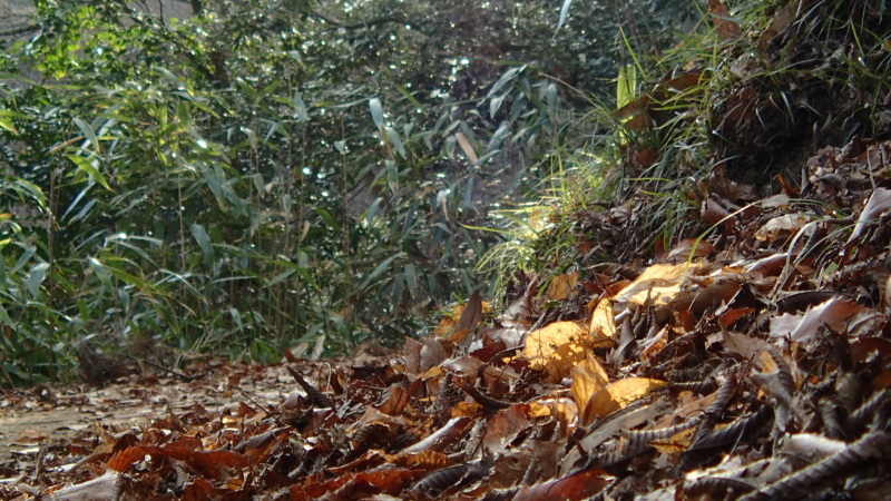 e0024081_17573644.jpg