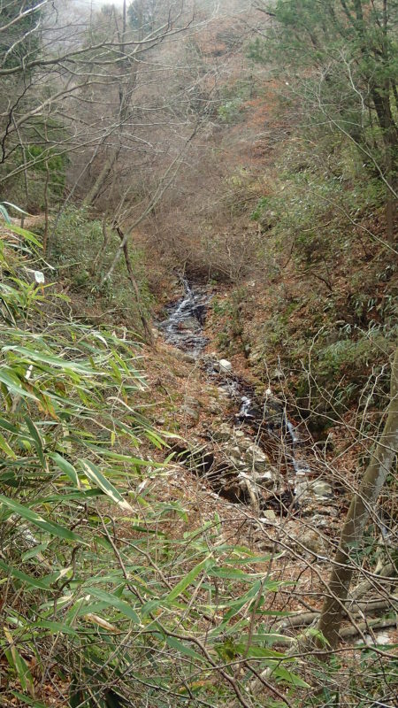 e0024081_17581189.jpg