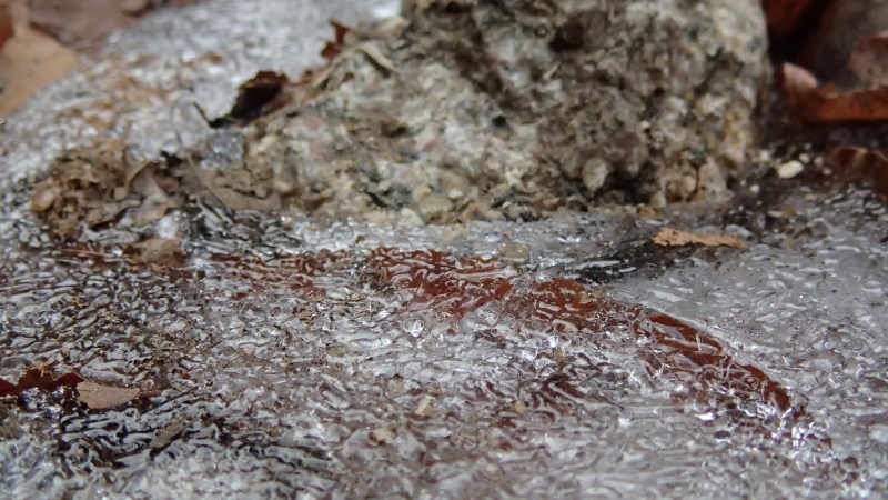 e0024081_17583596.jpg