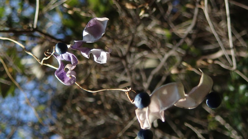 e0024081_19335141.jpg