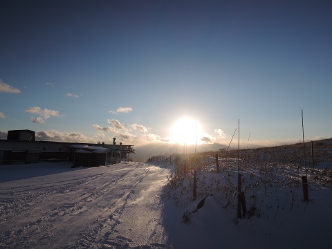 冬です^^;_a0211886_012130.jpg
