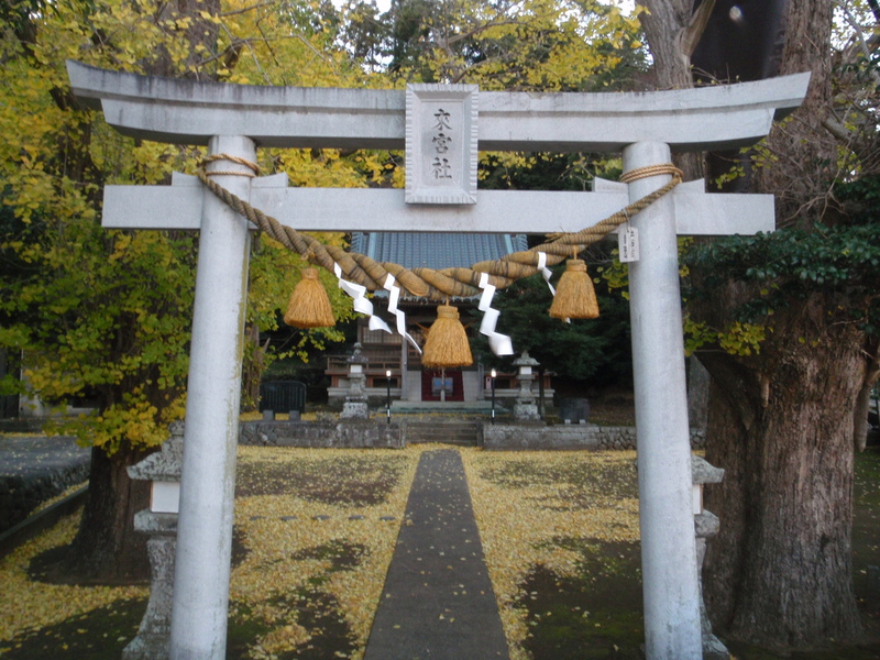 d0034291_8313664.jpg