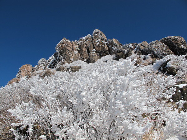 a0166196_12481978.jpg