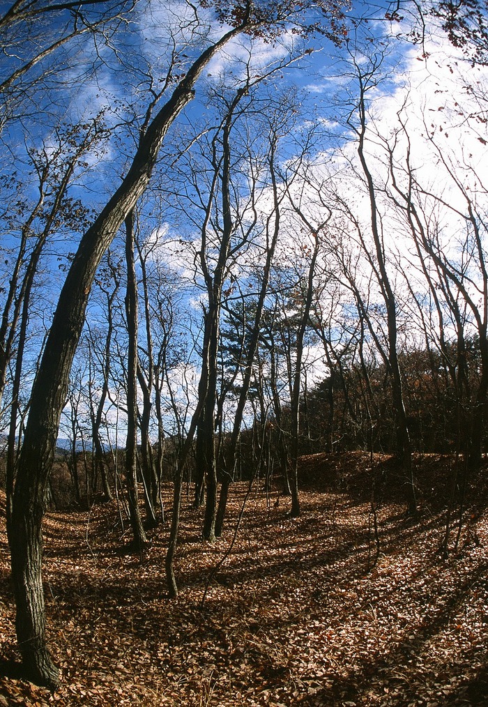 f0220698_23332419.jpg