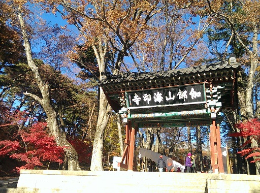 a0140305_314468.jpg
