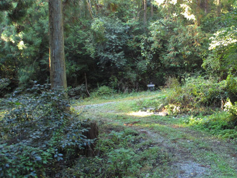 e0293913_22361566.jpg