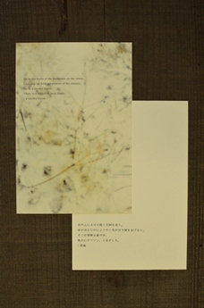 winter songs:雪花_d0263815_1883618.jpg