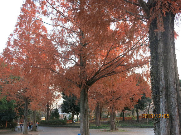 c0200916_15501589.jpg