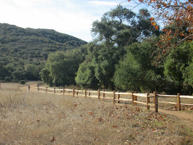 清流が嬉しいクリーク沿いのトレイル　　　　　Los Penasquitos Canyon Preserve_f0308721_8401222.jpg