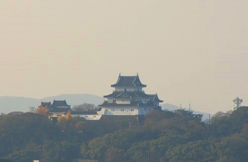 オートクチュールなフレンチ　～オテル　ド　ヨシノ（和歌山）～_c0235725_8201021.jpg