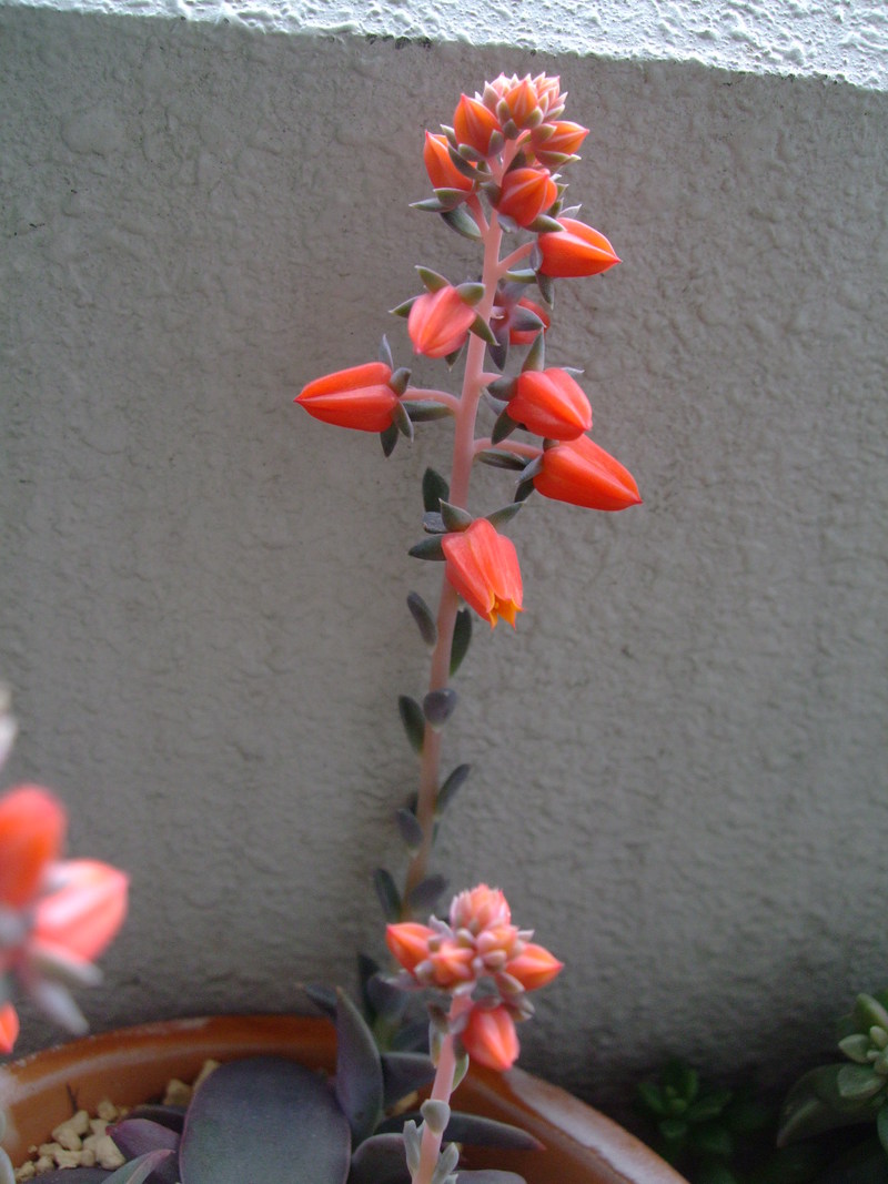 f0243726_14522761.jpg