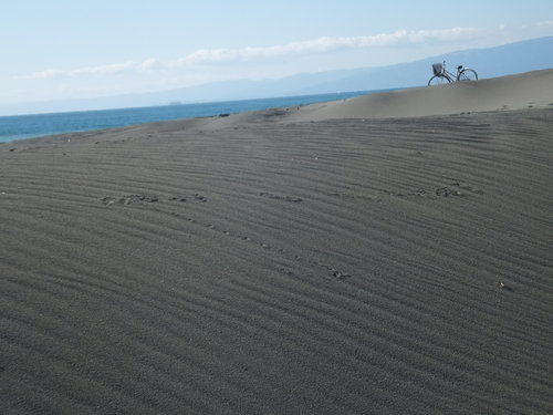 砂紋を眺めながら...湘南海岸を散歩！_b0137932_2147249.jpg