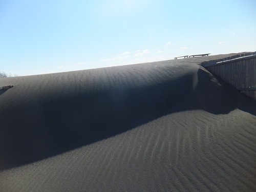 砂紋を眺めながら...湘南海岸を散歩!_b0137932_21474466.jpg
