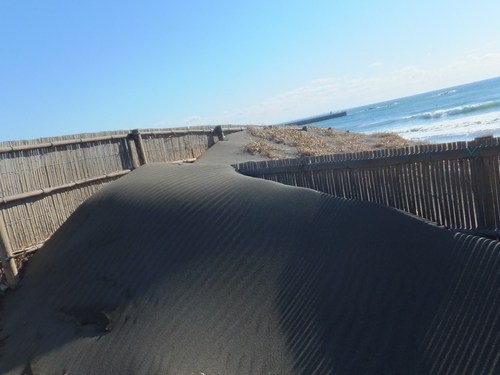 砂紋を眺めながら...湘南海岸を散歩!_b0137932_21492696.jpg