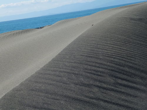 砂紋を眺めながら...湘南海岸を散歩!_b0137932_2245530.jpg