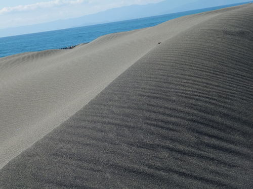 砂紋を眺めながら...湘南海岸を散歩！_b0137932_2245530.jpg