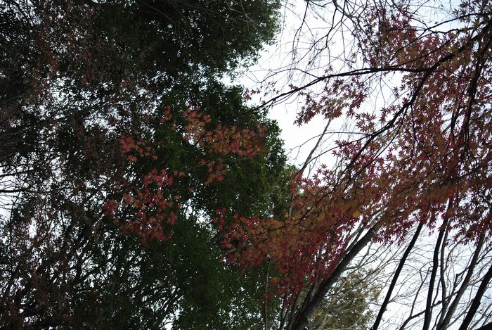 e0089232_17210009.jpg
