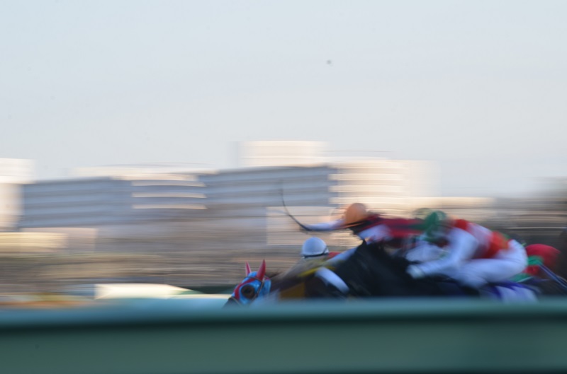 2013 Asahi Hai Futurity Stakes (G1)_d0128536_855575.jpg