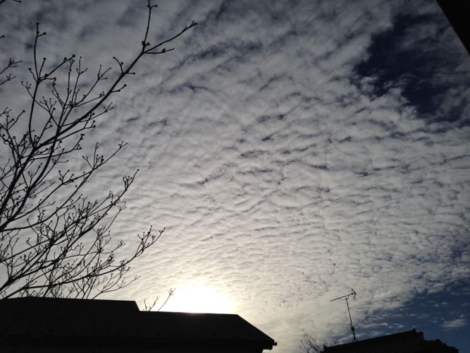 c0220337_943083.jpg