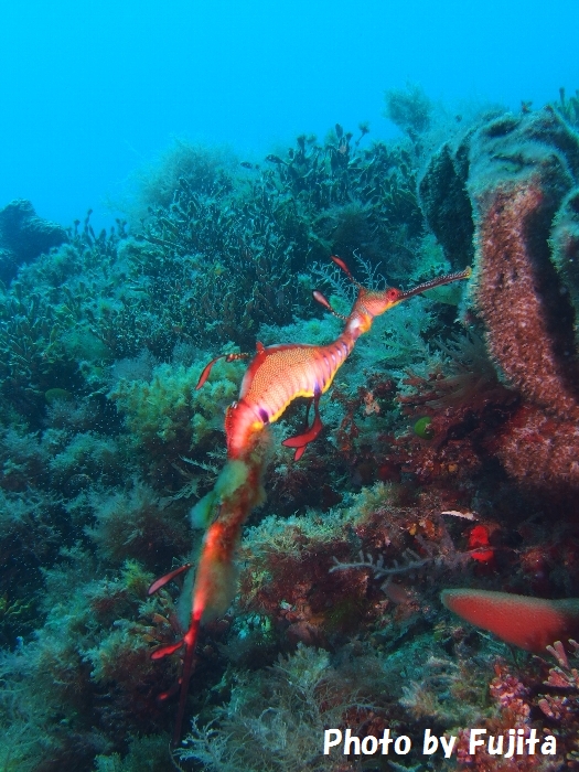a0150039_003352.jpg
