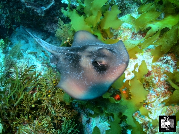 a0150039_012560.jpg