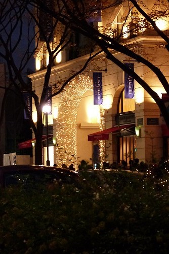 c0096941_823496.jpg