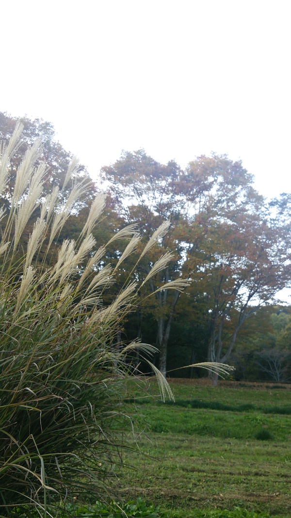 c0316041_1025743.jpg
