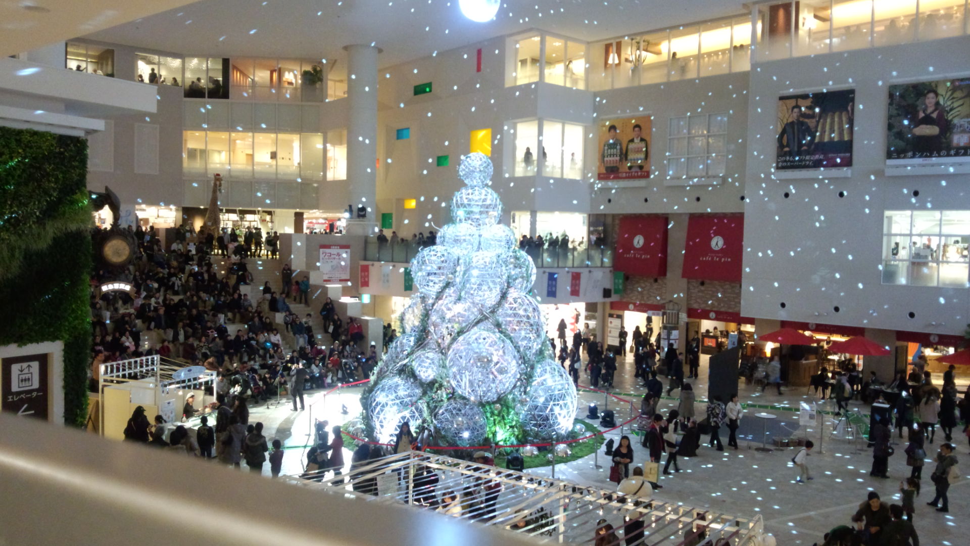 a0212656_228229.jpg