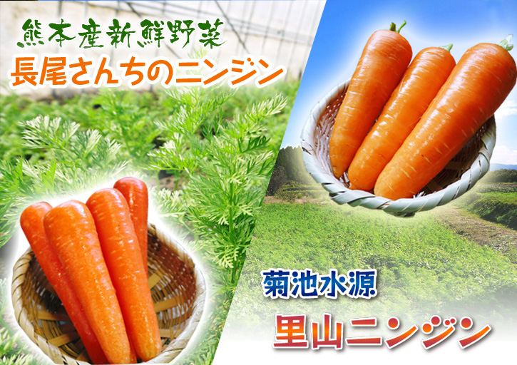 冬至用の「柚子」いかがですか!柚子湯と幸運をもたらす「ん」のお話_a0254656_18594418.jpg