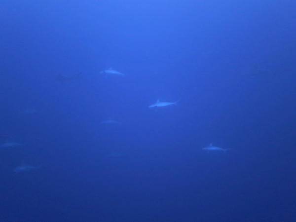 12月17日 時化_d0113459_18142828.jpg