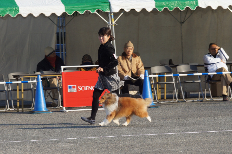 ROAD TO HYOGO_f0126965_13582776.jpg