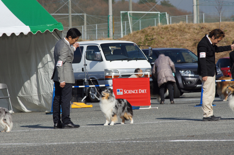 ROAD TO HYOGO_f0126965_1432948.jpg
