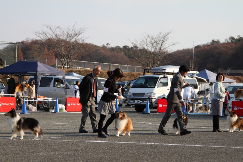 ROAD TO HYOGO_f0126965_17233632.jpg