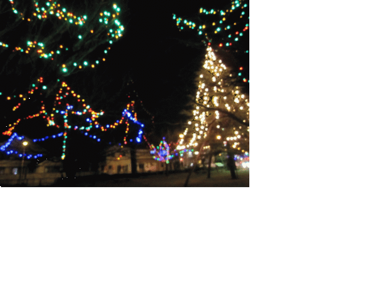 f0162874_950182.gif