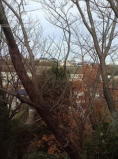 d0143678_22273460.jpg